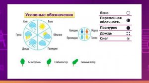 Познание мира. 3 класс. Как погода влияет на человека? /09.09.2020/