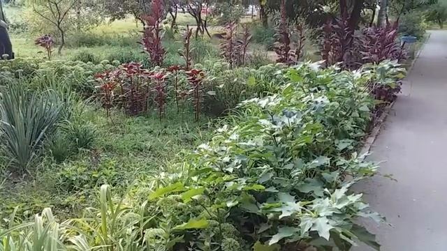 Квіткові клумби Рослинні композиції Ландшафтний дизайн в природному стилі Зразок клумби 112