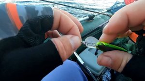 Ловля щуки на крупные воблера. Рыбалка на спиннинг осенью