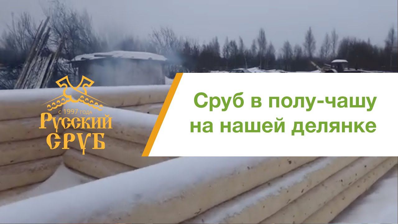 Срубы в полу-чашу на нашей площадке. Дом 7,5х9м из цельного бревна. смотреть онлайн