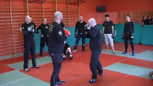 Удары руками и ногами без ошибок. Рукопашный бой. (street fighting S.P.A.S.)