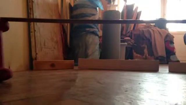 Как надо прыгать собакам. смотреть онлайн