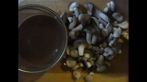 Маринованные грибы вешенки быстро на Новый Год ?