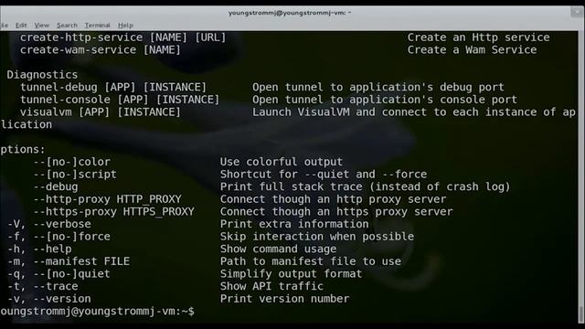 Free Yourself with CloudFoundry: A Private Cloud Experience смотреть онлайн