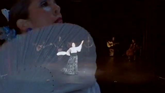 Guajiras, Embrujo Flamenco смотреть онлайн