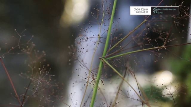 Искусственный водопад, как способ привлечь гостей в отель! (#LANDSCAPE) Водопад Желаний смотреть онлайн