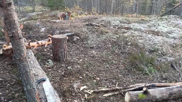 Групповой курс выживания ноябрь 2022
