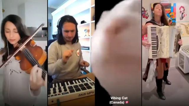 Котомузыка новая версия смотреть онлайн