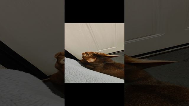 1000013248.mp4 смотреть онлайн