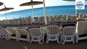 Обзор отеля REEF OASIS BEACH RESORT 5* (Египет, Шарм-эль-Шейх)
