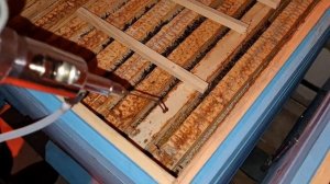 Обработка пчел щавелевой кислотой 3.5% зимой в зимовнике от клеща варроа. Опасный эксперимент.