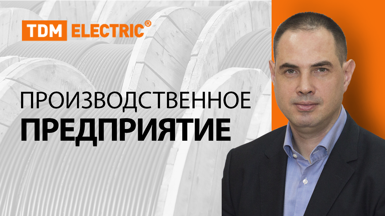 Производственное предприятие TDM ELECTRIC