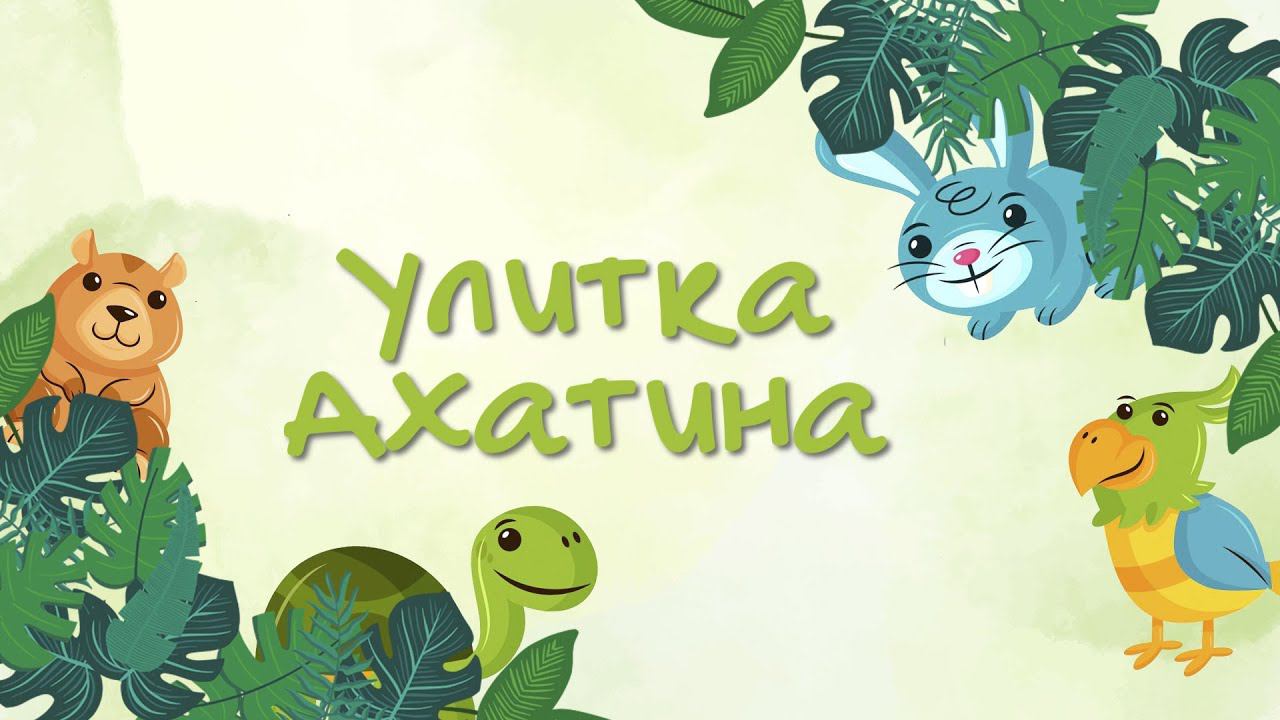 Тайная жизнь домашних животных. Улитка - неторопливый друг