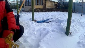 Укрытие винограда на зиму в Поволжье в Самарской области