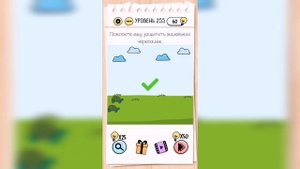 Brain Test / Уровень 255