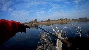 Мёртвая Ахтуба села Заплавное / Что МЫ Натворили?!