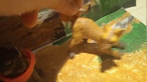 смешное видео