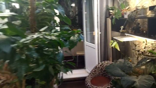 Подписчица сказала надо, Люба в ответ - есть! смотреть онлайн