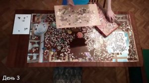 Сборка пазла "Летние цветы" | Castorland 4000