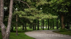 Устроилась домработницей к богатой старушке, а когда она увидела фото…