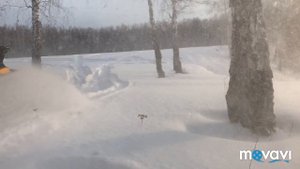 Хорошее настроение!!!)))) И Снегоход BRP Ski-Doo Tundra LT 550 F