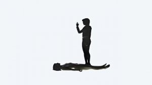 Луна — лютики (2016)