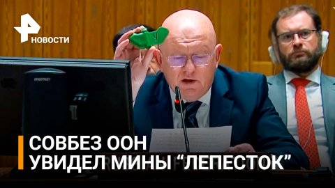 Небензя показал в ООН мину "Лепесток", которыми ВСУ обстреляли Донбасс / РЕН Новости