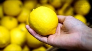 Мудрая Притча о Зависти! Читает Владимир Фёдоров | канал Екклесиаст