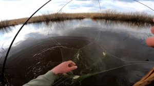 рыбалка на паук подъёмник рыба кишит