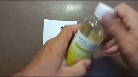 дополнительные среды (медиумы) для масляной живописи . часть 1