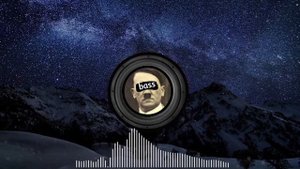 ERIKA BASS BOOSTED REMIX