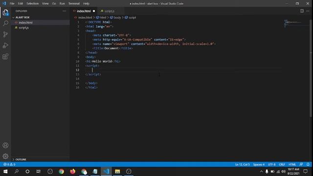 Adding JAVASCRIPT to HTML page/ Alert Box/ console log