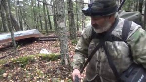 Сапоги, собака, тайга #12