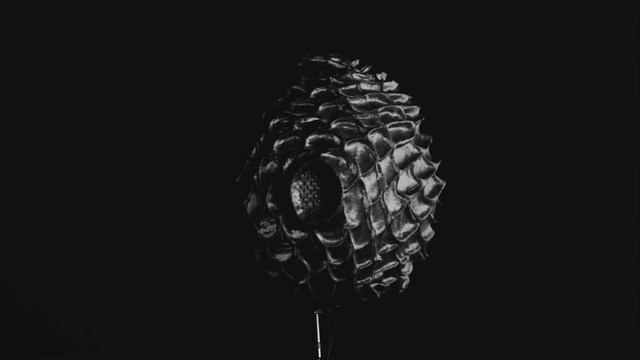 Видовая симуляция смотреть онлайн