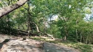 Віртуальний Тур по Центральному парку в Манхеттені @defiliada #centralpark, #Manhattan, #nyc,