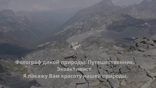 ФОТОГРАФ ДИКОЙ ПРИРОДЫ