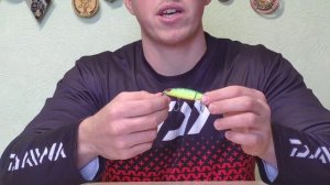 Топ 5 небольших ВОБЛЕРОВ на щуку! На что ловить в 2021 году. Ультралайт воблера.