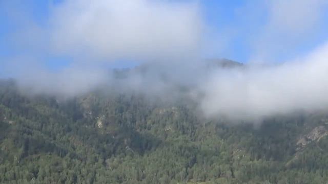 "Бесприданница" Романс о России Автор: Руслан Олесов; Исполняет: Константин Белов смотреть онлайн