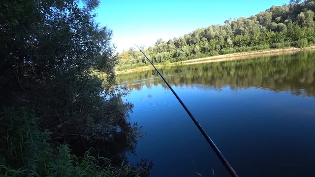 Там Ніхто Не Ловить. Риболовля на Спінінг в Хащах смотреть онлайн