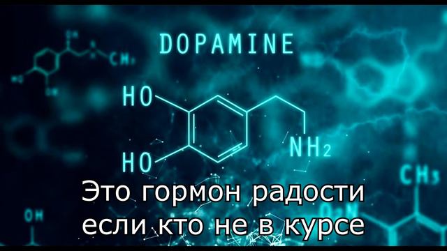 ЭКСПЕРИМЕНТ 20 дней без МЯСА