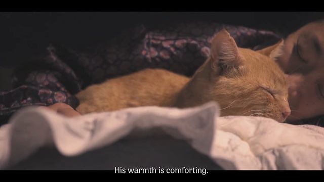 Treating your tired body and mind with warmth and self-care 🤒 смотреть онлайн