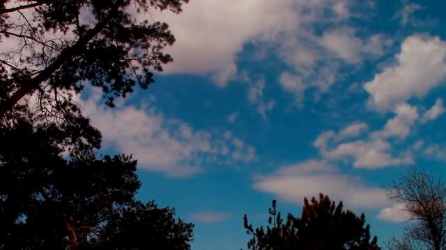 Никто не знает наперёд...Красивые стихи о жизни... смотреть онлайн