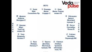 Пошаговая работа с программным модулем "Рефлексотерапия": занятие 4, часть 1