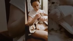 как подстричь ногти кошке
