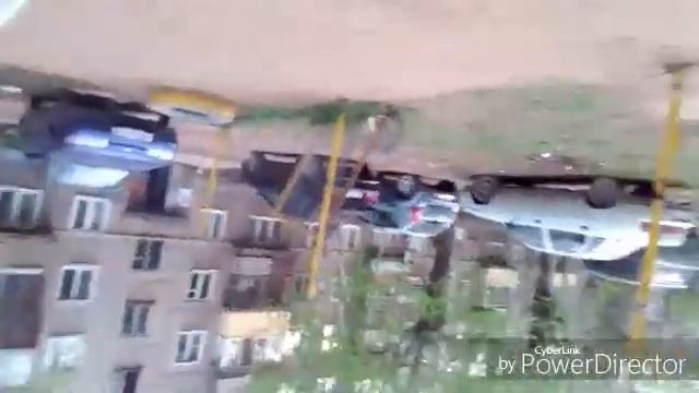 У меня появилась собака смотреть онлайн