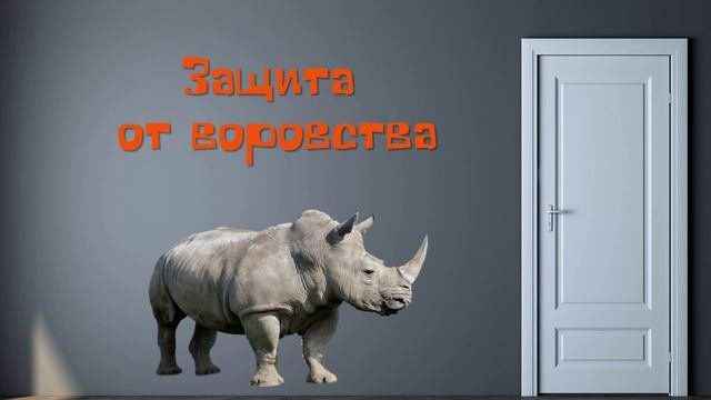 защита от воровства