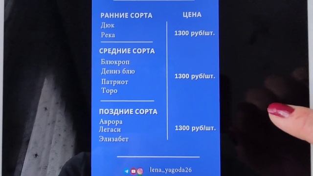 ПРАЙС на саженцы 2023 г.? Новая страница в Контакте ?