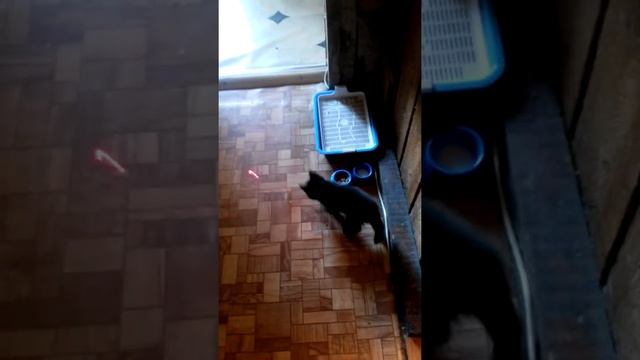 Уголёк смотреть онлайн