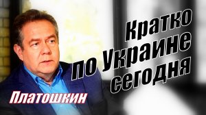 Платошкин.Н.Н. Краткое мнение по Украине..