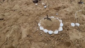 Лучший пляж - Шамора, Владивосток. Бухта лазурная. #блогВладивосток. 2021